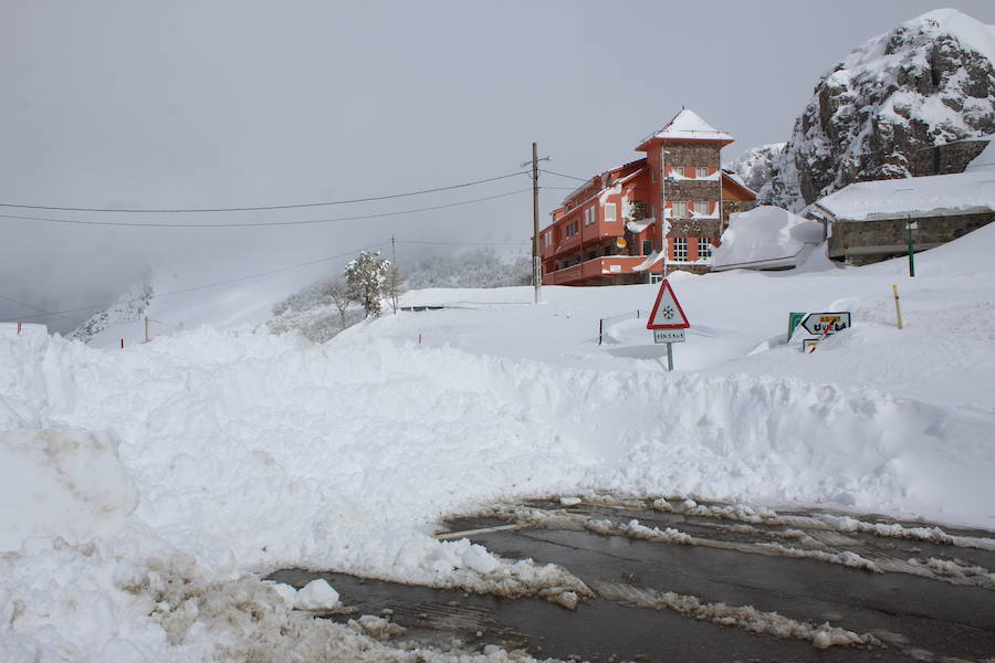 Subida al alto de Tarna