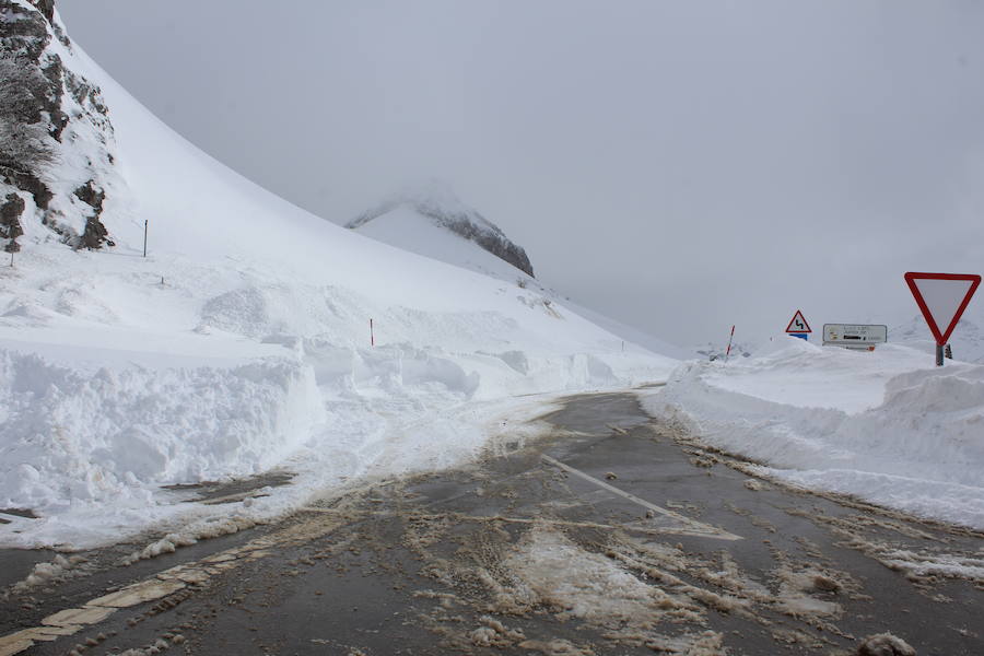 Subida al alto de Tarna