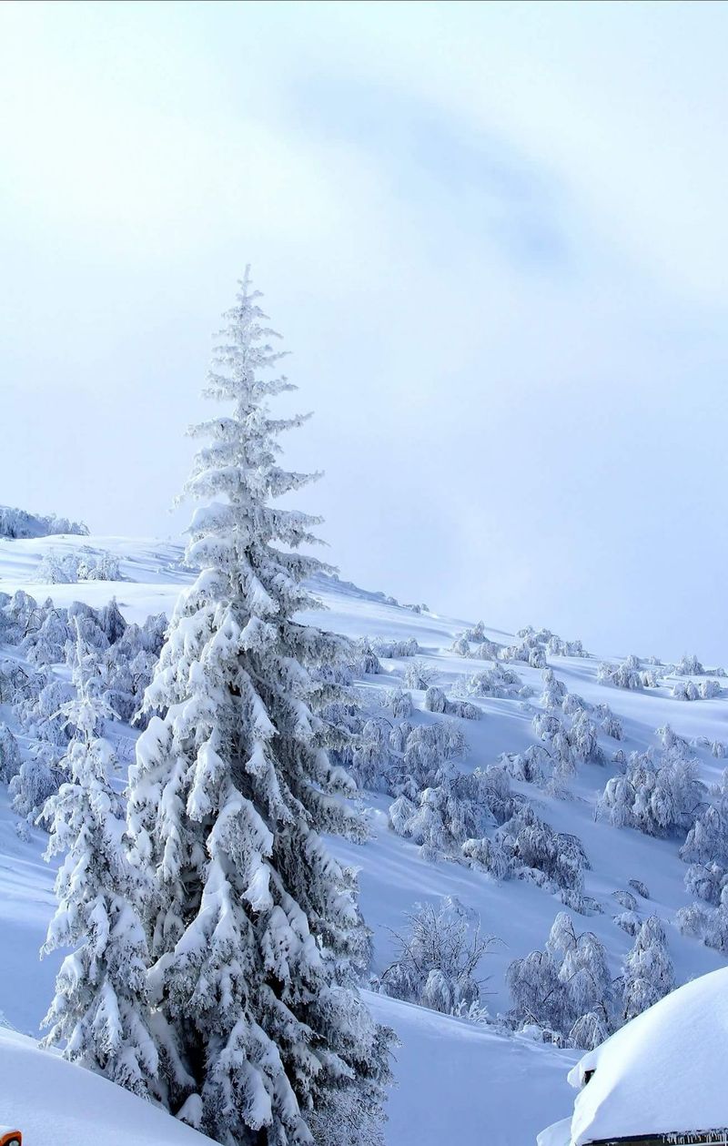 La amenaza de la nieve se mantiene en la provincia, con una cota mínima que se sitúa en los 600 metros | El descenso de las temperaturas alcanza mínimas de -6 grados ampliamente superadas en las cotas más altas