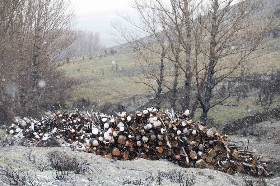 Actuaciones realizadas tras el fuego en La Cabrera