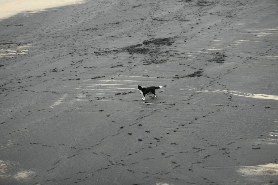 Una mancha de carbón &#039;mancha&#039; la playa de San Lorenzo
