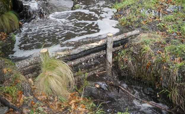 Construcción de albarradas y fajinas para minimizar el impacto del incendio. 