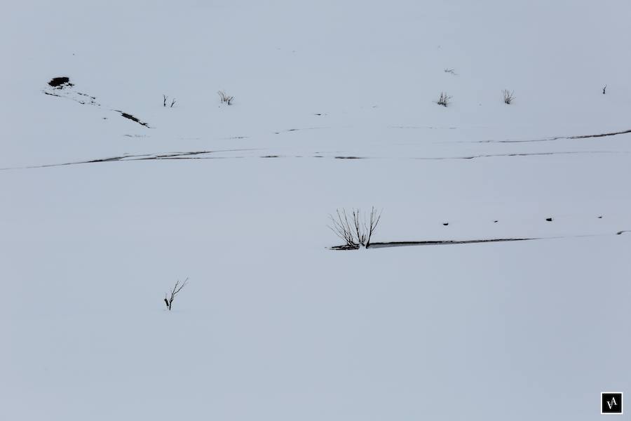 Fotos: La Nieve rodea al pantano de Riaño