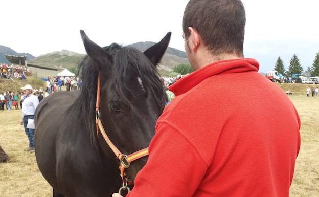 El Concurso-Exposición de Ganado Caballar Hispano-Bretón en San Emiliano, uno de los distinguidos.