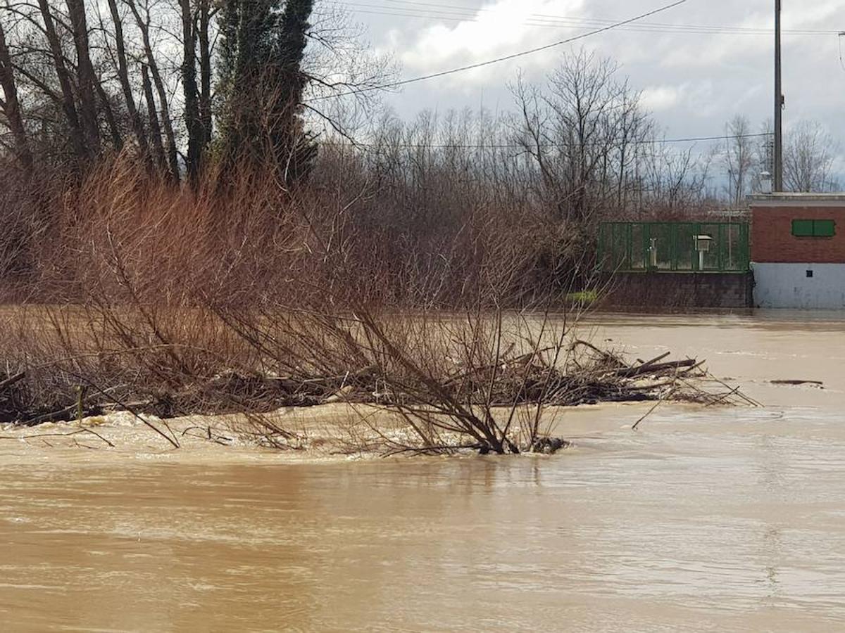 Fotos: El Esla pasa crecido por Valencia de Don Juan