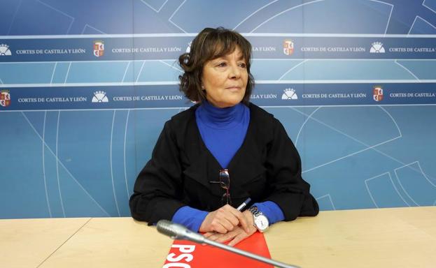 La portavoz socialista de Sanidad, Mercedes Martín, informan de la situación de las retribuciones del personal de enfermería de Castilla y León.