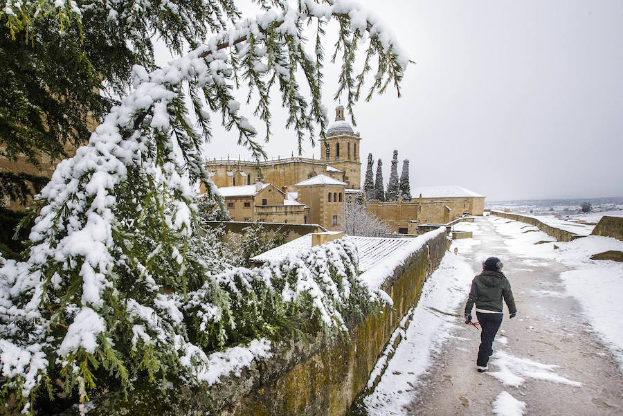 Fotos: Temporal nieve en Castilla y León