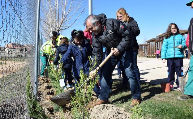 Los niños de los tres colegios de La Bañeza plantan más de 100 árboles