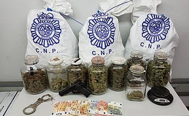 La Policía desmantela un piso en León dedicado al cultivo indoor de marihuana