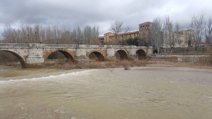 Fotos: El río Bernesga, a su paso por León