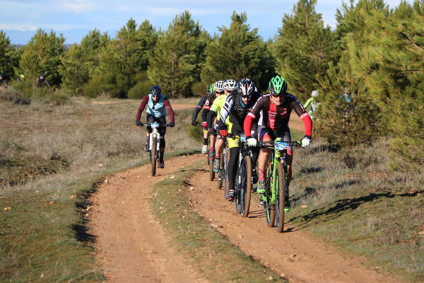 Fotos: Las mejores imágenes de la Power Race (II)