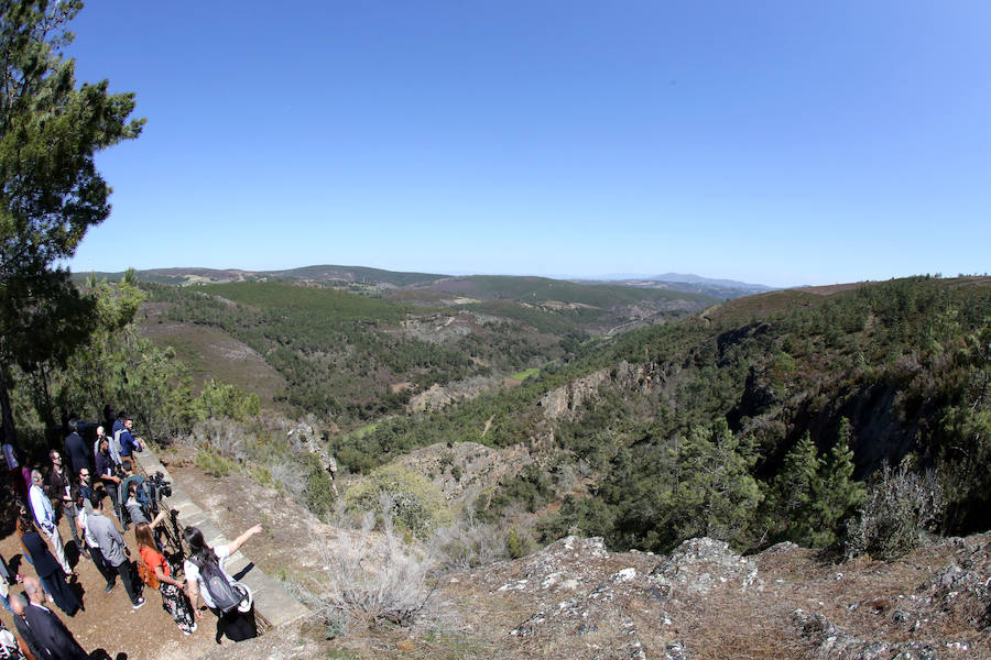 Fotos: Paraje natural de Corta da Ribeirinha (Oporto)