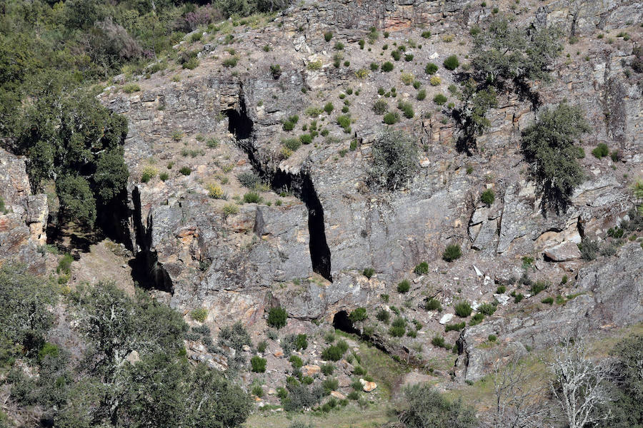 Fotos: Paraje natural de Corta da Ribeirinha (Oporto)