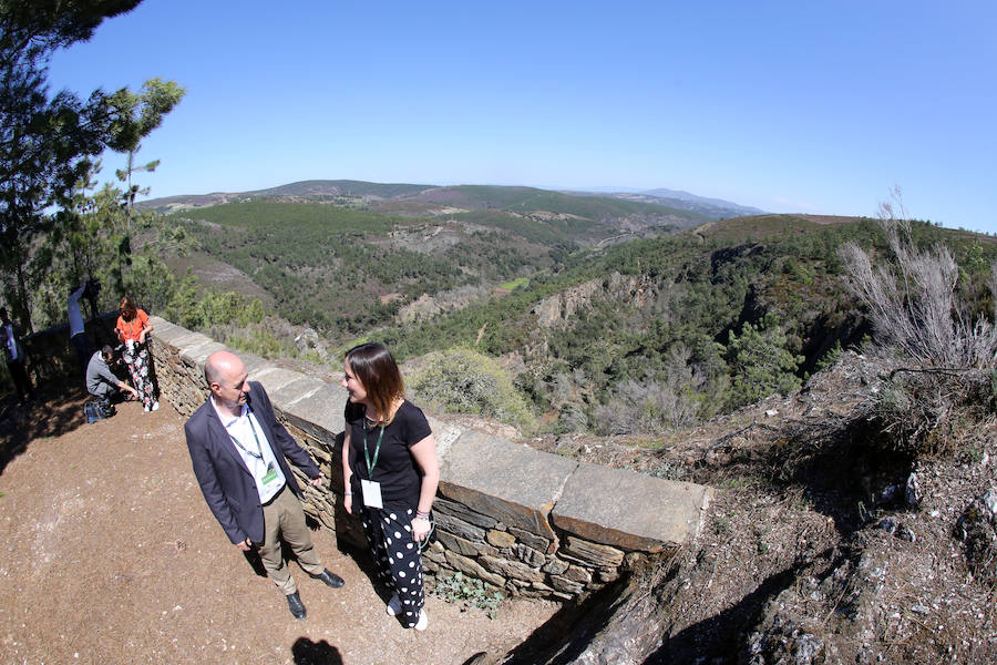 Fotos: Paraje natural de Corta da Ribeirinha (Oporto)