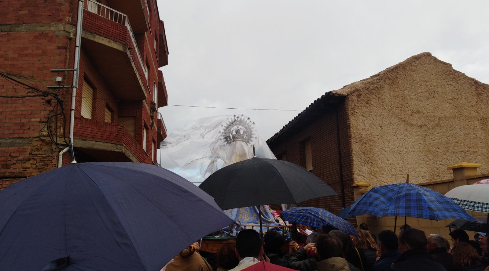 Fotos: Festividad del Voto en Laguna de Negrillos