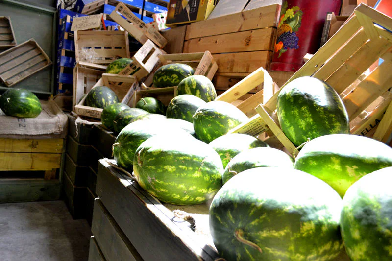 Chavalín, fruta de calidad y al mejor precio