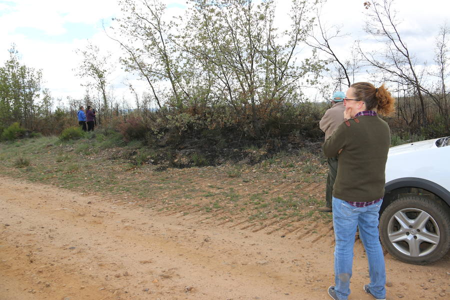 Fotos: Incendio en Ambasaguas