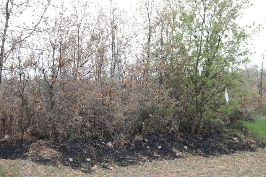 Fotos: Incendio en Ambasaguas