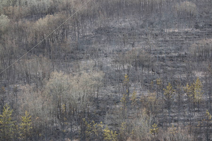 Fotos: Incendio en Ambasaguas