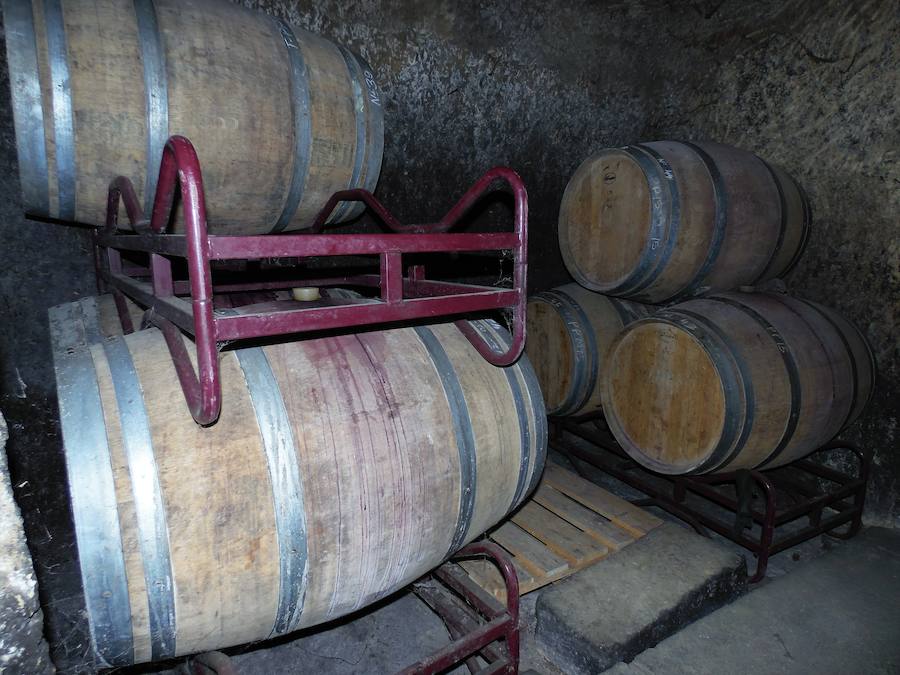 Fotos: Bodegas Casis