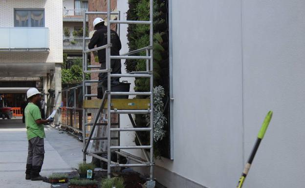 Instalación del jardín japonés.