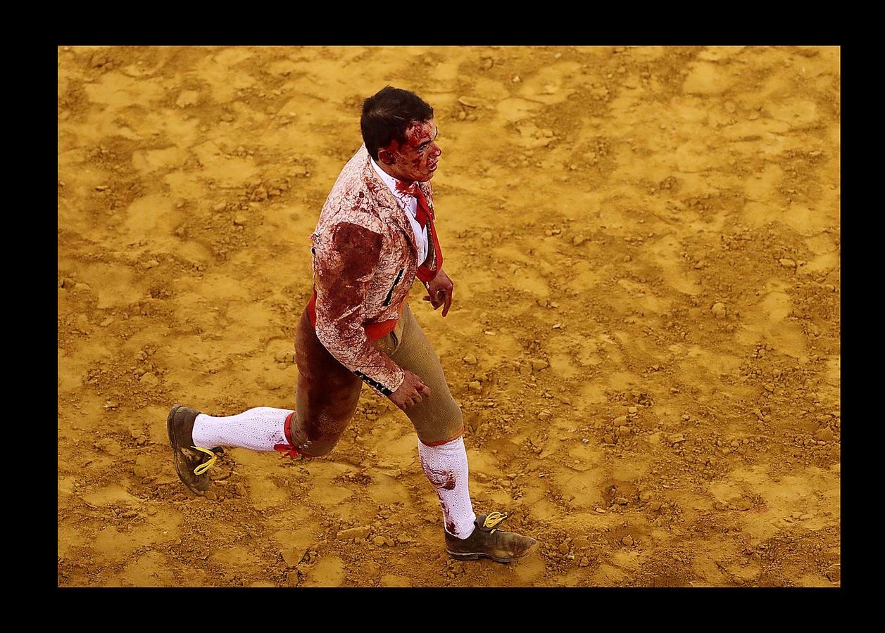 Los forcados son un grupo de 8 hombres que tratan de inmovilizar a un toro en carrera, dentro de la plaza. El encuentro con el animal se produce de frente, para atraparlo de cara, después de colocar unas banderillas. El primero de los forcados cita al toro, intenta agarralo por el cuello o los cuernos cuando este echa a correr, y a continuación interviene el resto del grupo. En alguna ocasión la violencia del choque ha producido la muerte de un forcado, pero en las corridas de toros a la portuguesa, los cuernos del animal están cubiertos por una funda de cuero con un extremo romo, para evitar mayores percances. Las fotografías muestran una corrida celebrada en la plaza de Campo Pequeno, en Lisboa.