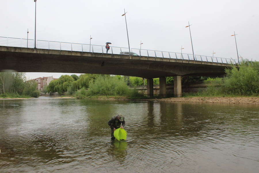 El consejero de Fomento y Medio Ambiente, Juan Carlos Suárez-Quiñones, presenta el Coto de Pesca de León junto al presidente de la Confederación Hidrográfica del Duero, Juan Ignacio Diego y el alcalde, Antonio Silván