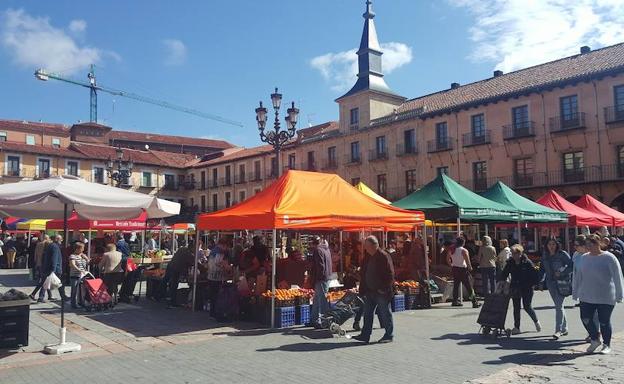 Nuevos puestos del Mercado Tradicional. 