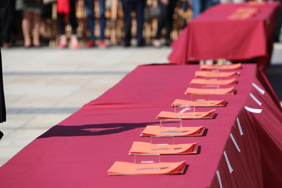 Fotos: Nuevos hijos para León