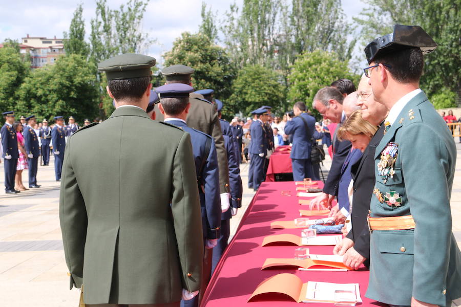 Fotos: Nuevos hijos para León