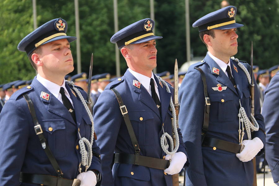 Fotos: Nuevos hijos para León