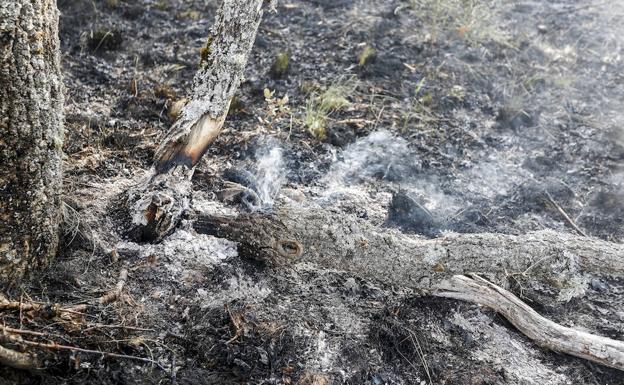 Incendio forestal en la provincia de León. 