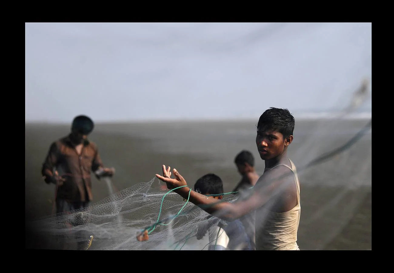 Una parte de los refugiados Rohingya que huyeron de Myanmar han encontrado trabajo en las pesquerías de la vecina Bangladesh. El campamento de refugiados de Shamlapur, cercano a una colonia de pescadores, es el hogar de unos 10.000 refugiados, que trabajan en la mar por alrededor de 3 dólares y una parte de las capturas. Las mujeres acompañan a sus maridos en la tarea secando y clasificando los peces sobre enormes mesas de madera, envueltas en moscas por un salario aún menor. Según funcionarios del Gobierno esta industria genera ingresos de 20 millones de dólares. Pero incluso los niños tienen que trabajar duro.