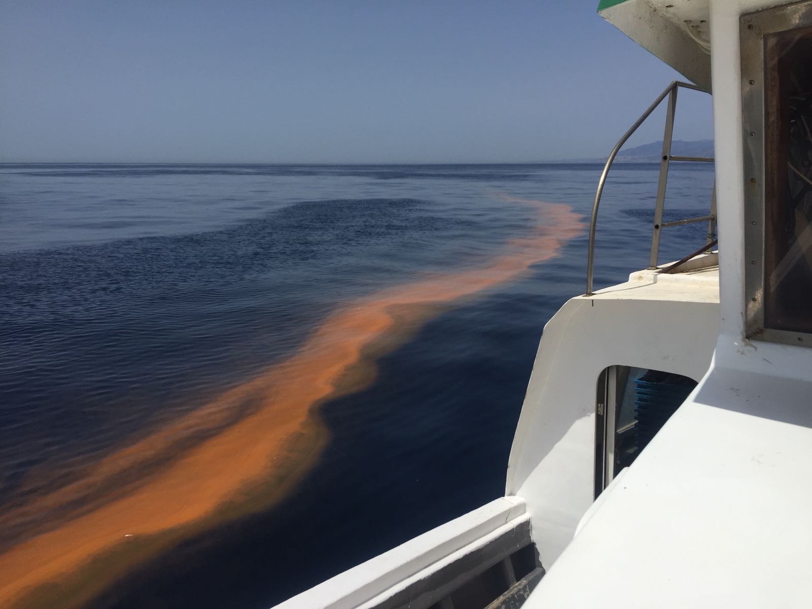 Pescadores avistan entre Rincón de la Victoria y Málaga una gran mancha que el levante empuja hacia la costa