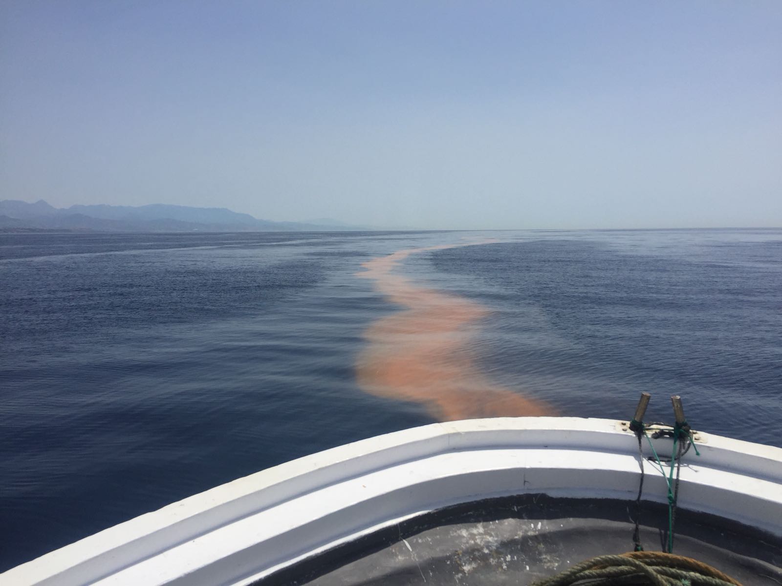 Pescadores avistan entre Rincón de la Victoria y Málaga una gran mancha que el levante empuja hacia la costa