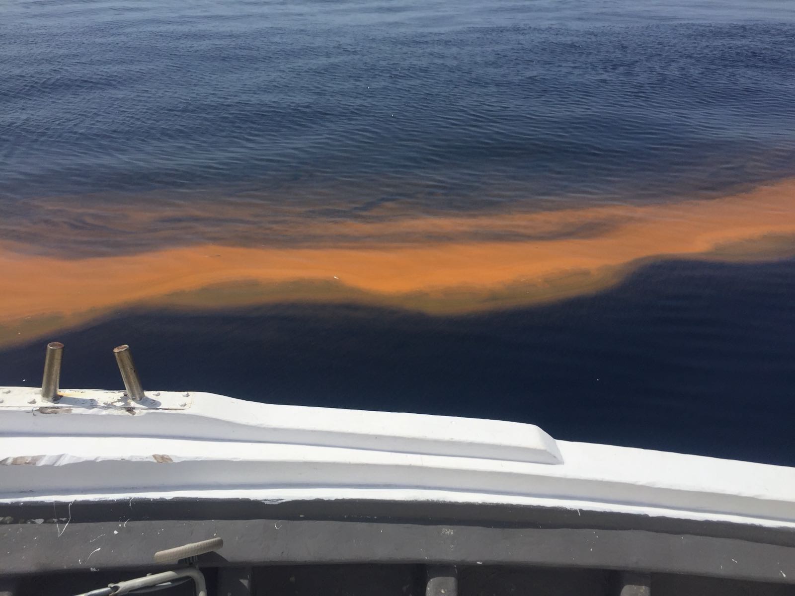 Pescadores avistan entre Rincón de la Victoria y Málaga una gran mancha que el levante empuja hacia la costa