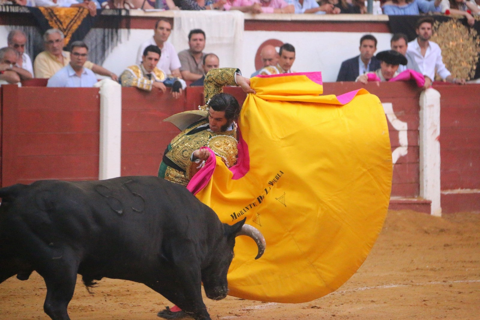 Fotos: Corrida del día  de San Juan, Morante, Manzanares, Talavante y Roca Rey