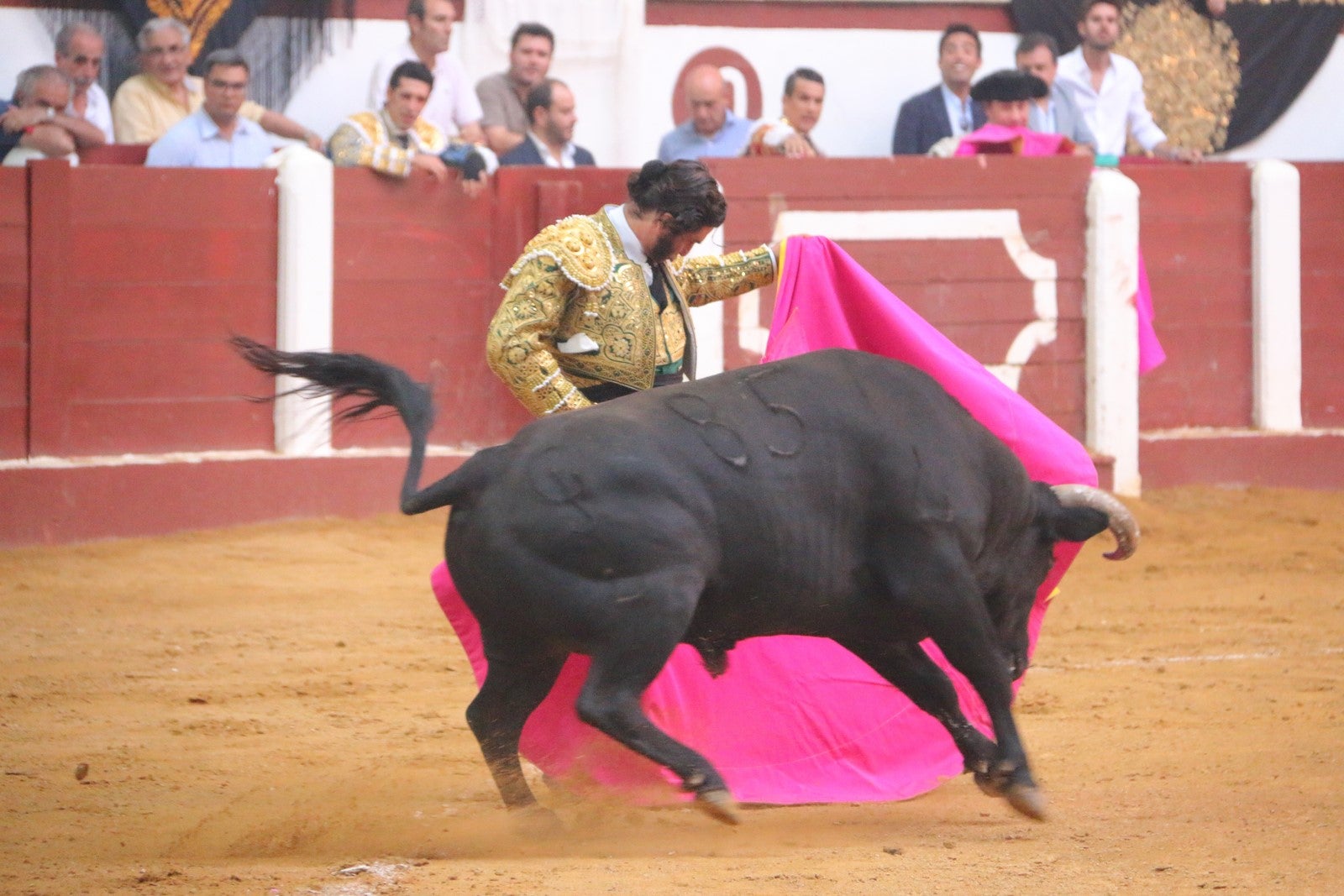Fotos: Corrida del día  de San Juan, Morante, Manzanares, Talavante y Roca Rey