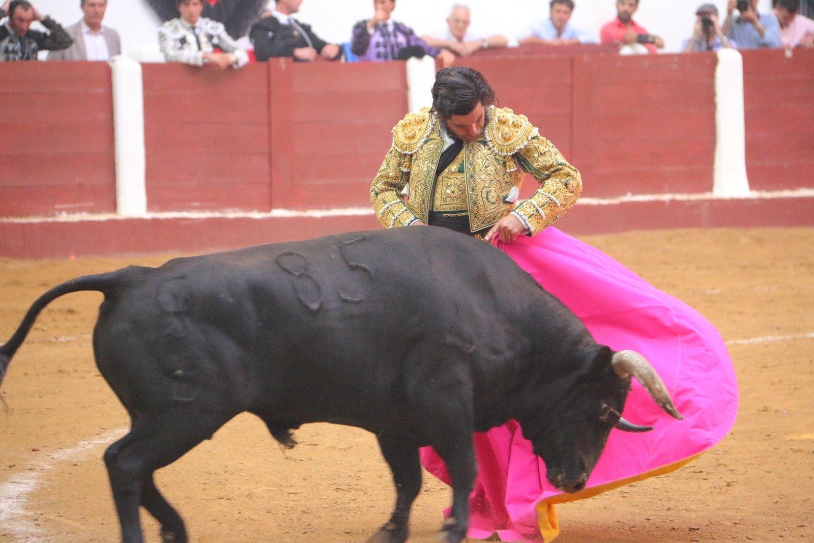 Fotos: Corrida del día  de San Juan, Morante, Manzanares, Talavante y Roca Rey
