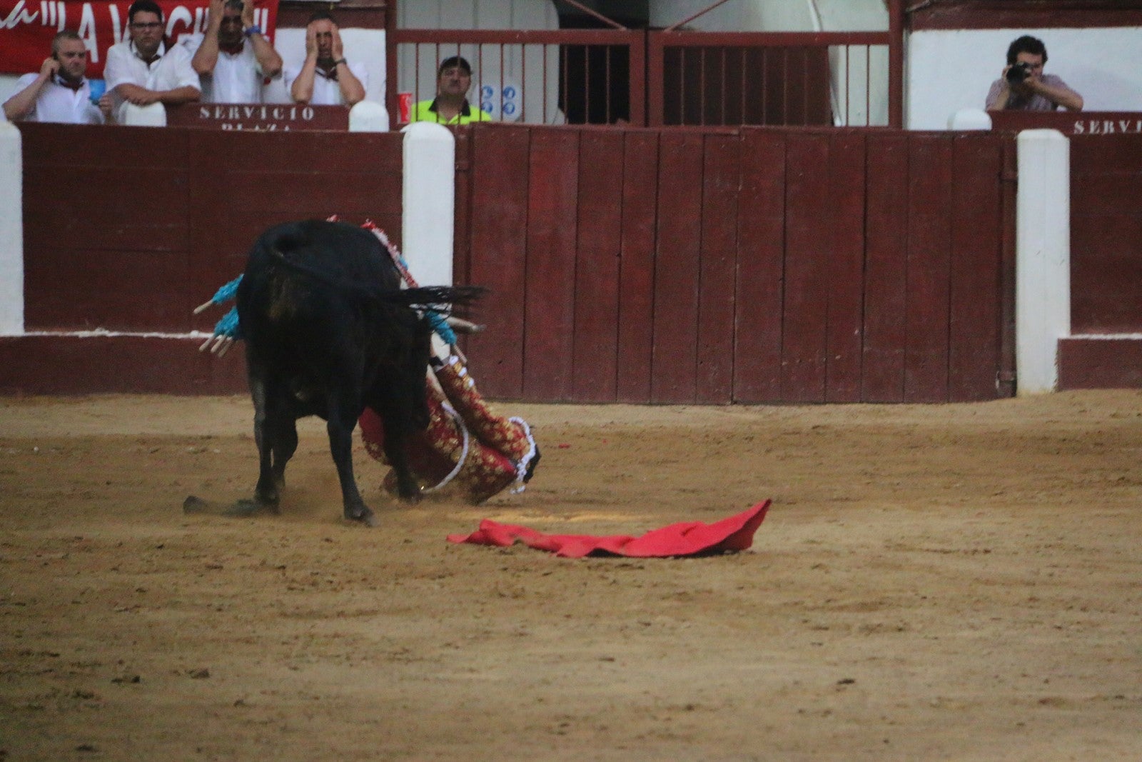 Fotos: Corrida del día  de San Juan, Morante, Manzanares, Talavante y Roca Rey