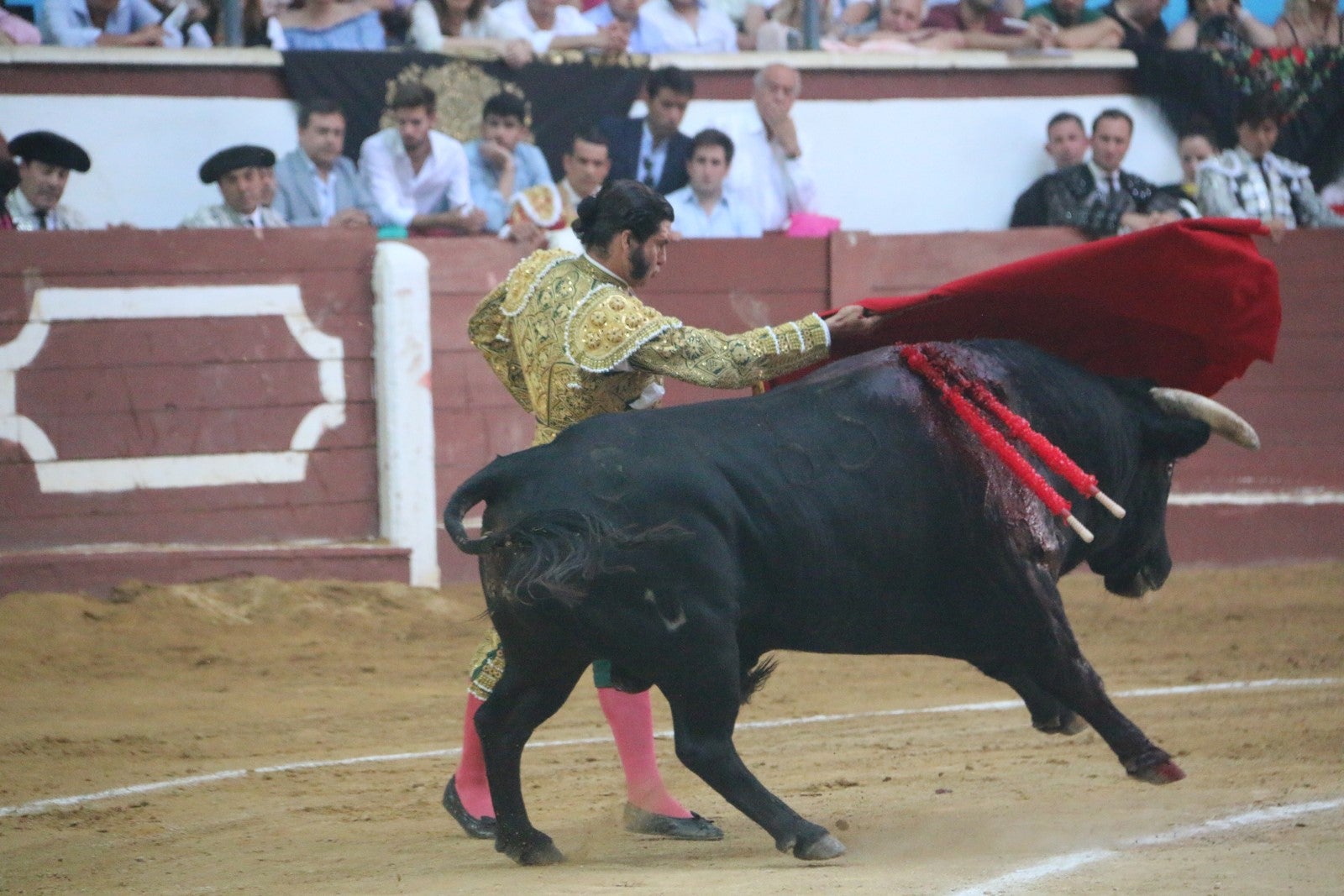 Fotos: Corrida del día  de San Juan, Morante, Manzanares, Talavante y Roca Rey