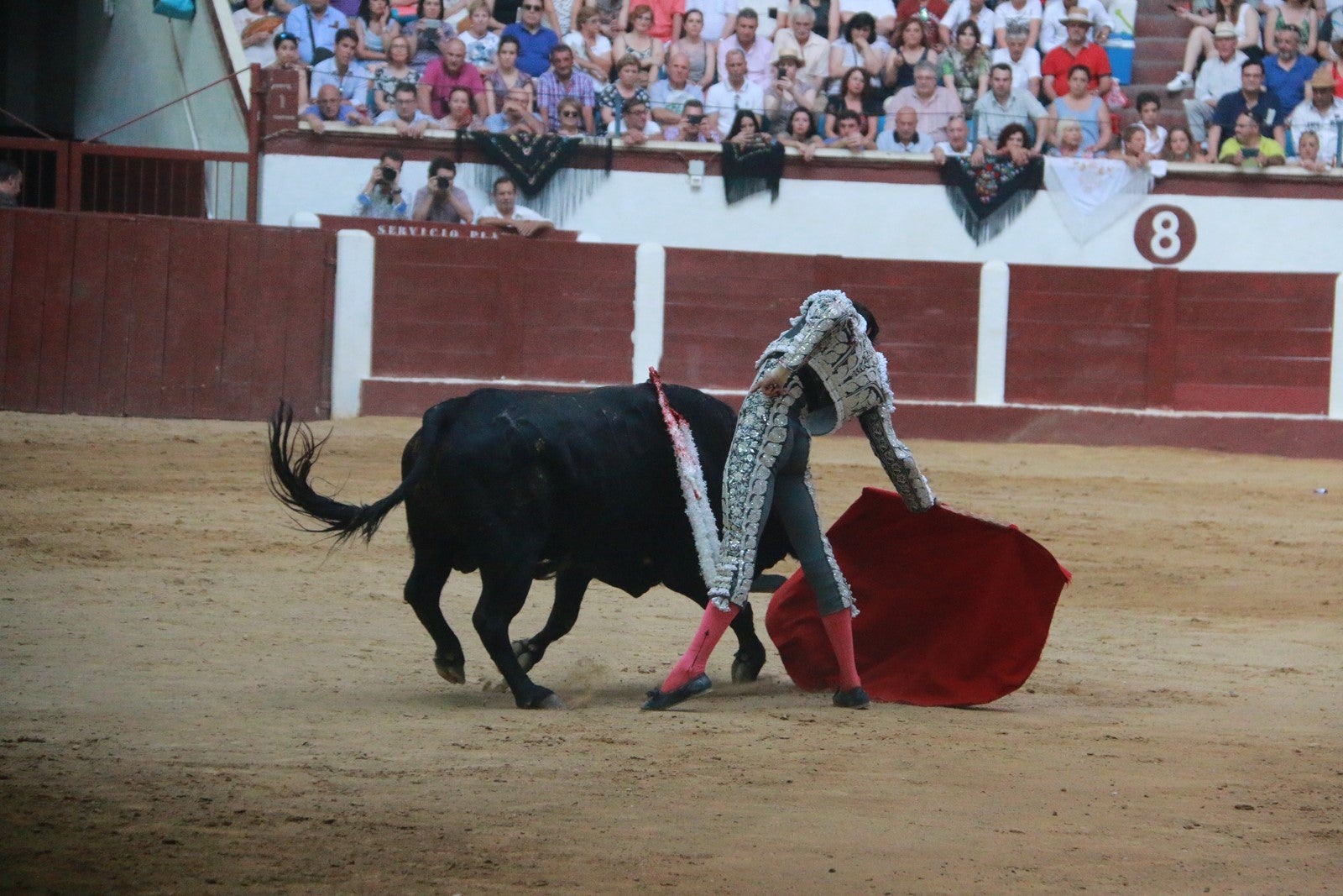 Fotos: Corrida del día  de San Juan, Morante, Manzanares, Talavante y Roca Rey