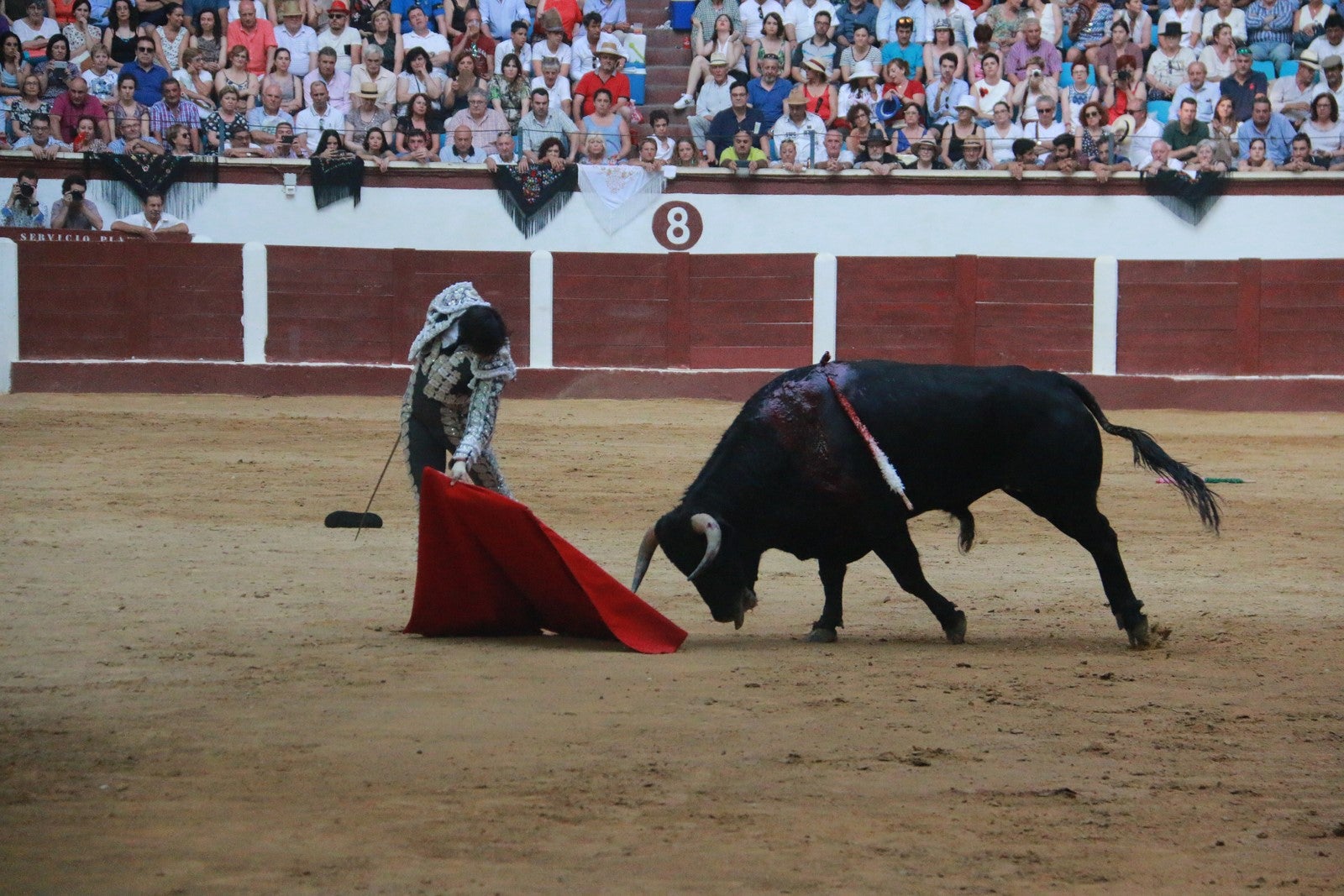 Fotos: Corrida del día  de San Juan, Morante, Manzanares, Talavante y Roca Rey