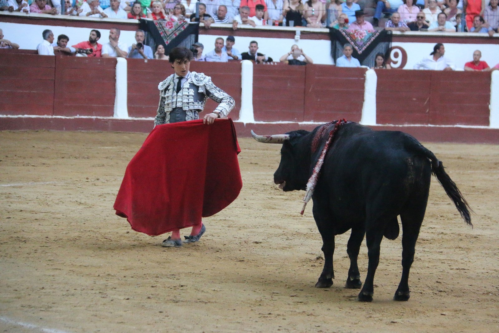 Fotos: Corrida del día  de San Juan, Morante, Manzanares, Talavante y Roca Rey