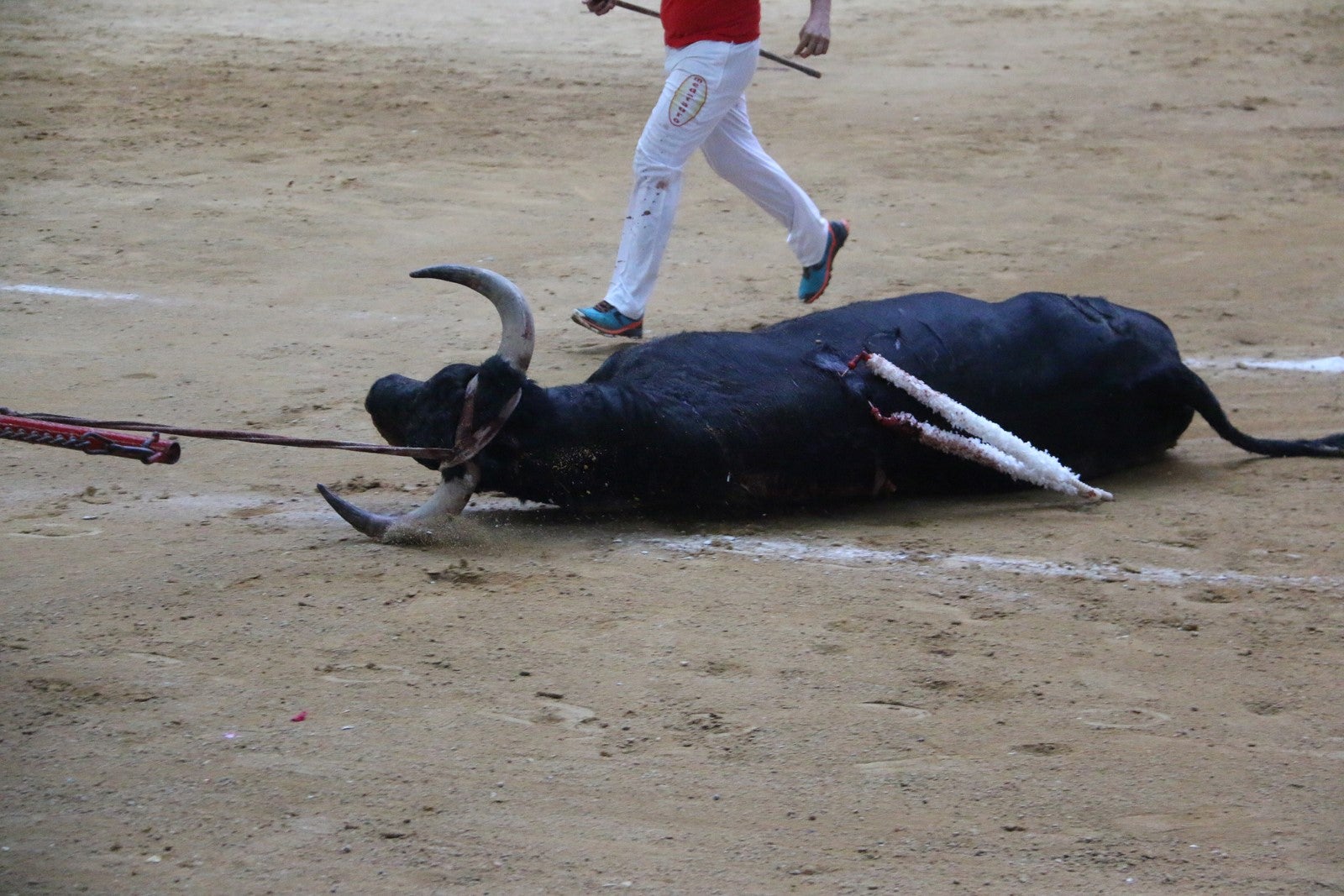 Fotos: Corrida del día  de San Juan, Morante, Manzanares, Talavante y Roca Rey