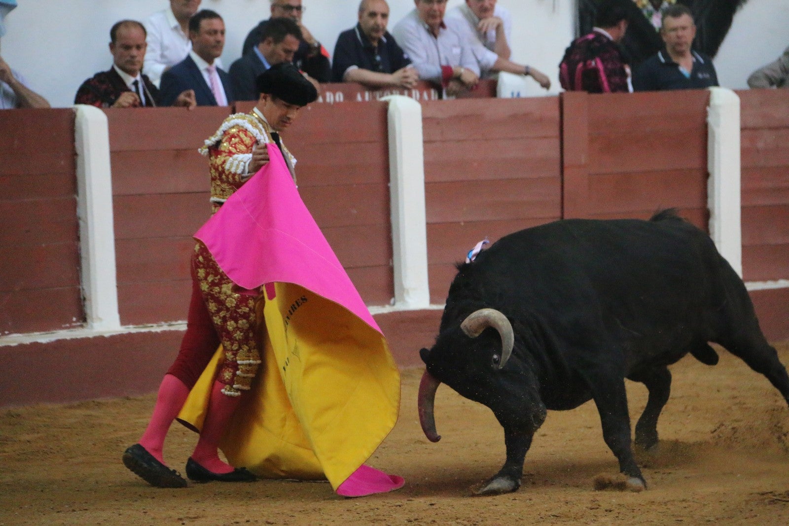 Fotos: Corrida del día  de San Juan, Morante, Manzanares, Talavante y Roca Rey