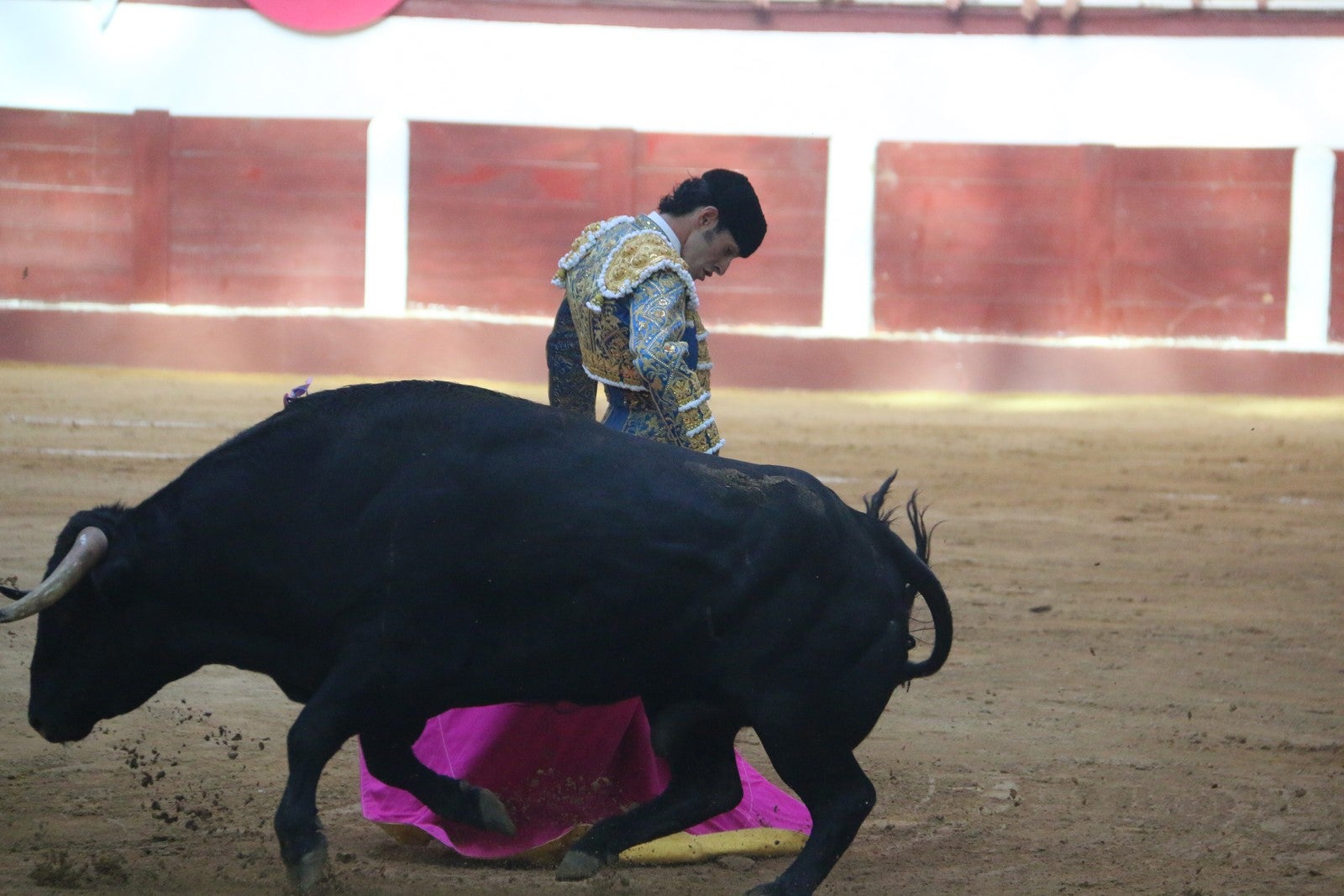 Fotos: Corrida del día  de San Juan, Morante, Manzanares, Talavante y Roca Rey