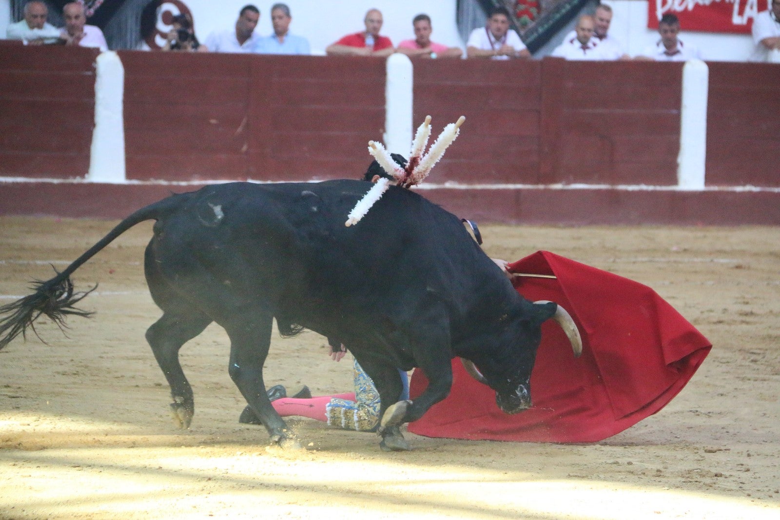 Fotos: Corrida del día  de San Juan, Morante, Manzanares, Talavante y Roca Rey