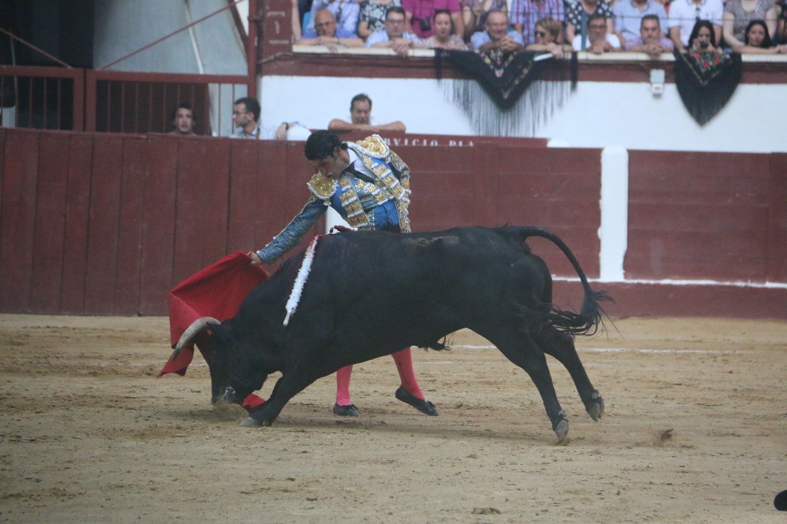 Fotos: Corrida del día  de San Juan, Morante, Manzanares, Talavante y Roca Rey