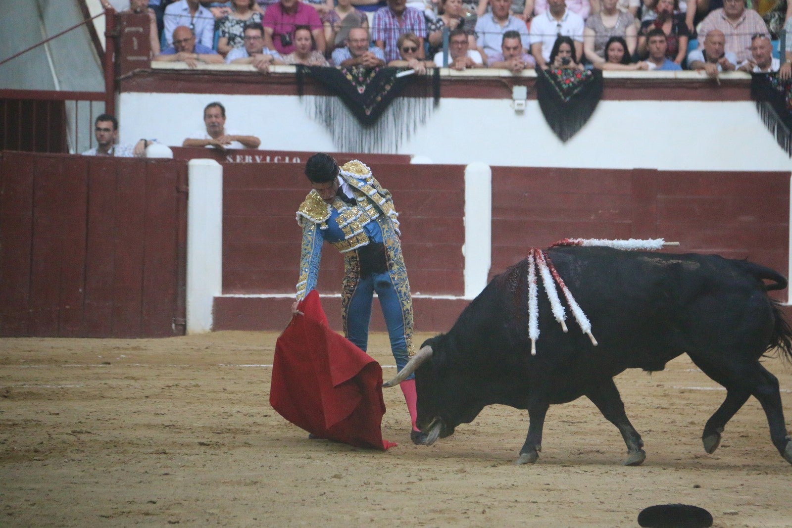 Fotos: Corrida del día  de San Juan, Morante, Manzanares, Talavante y Roca Rey